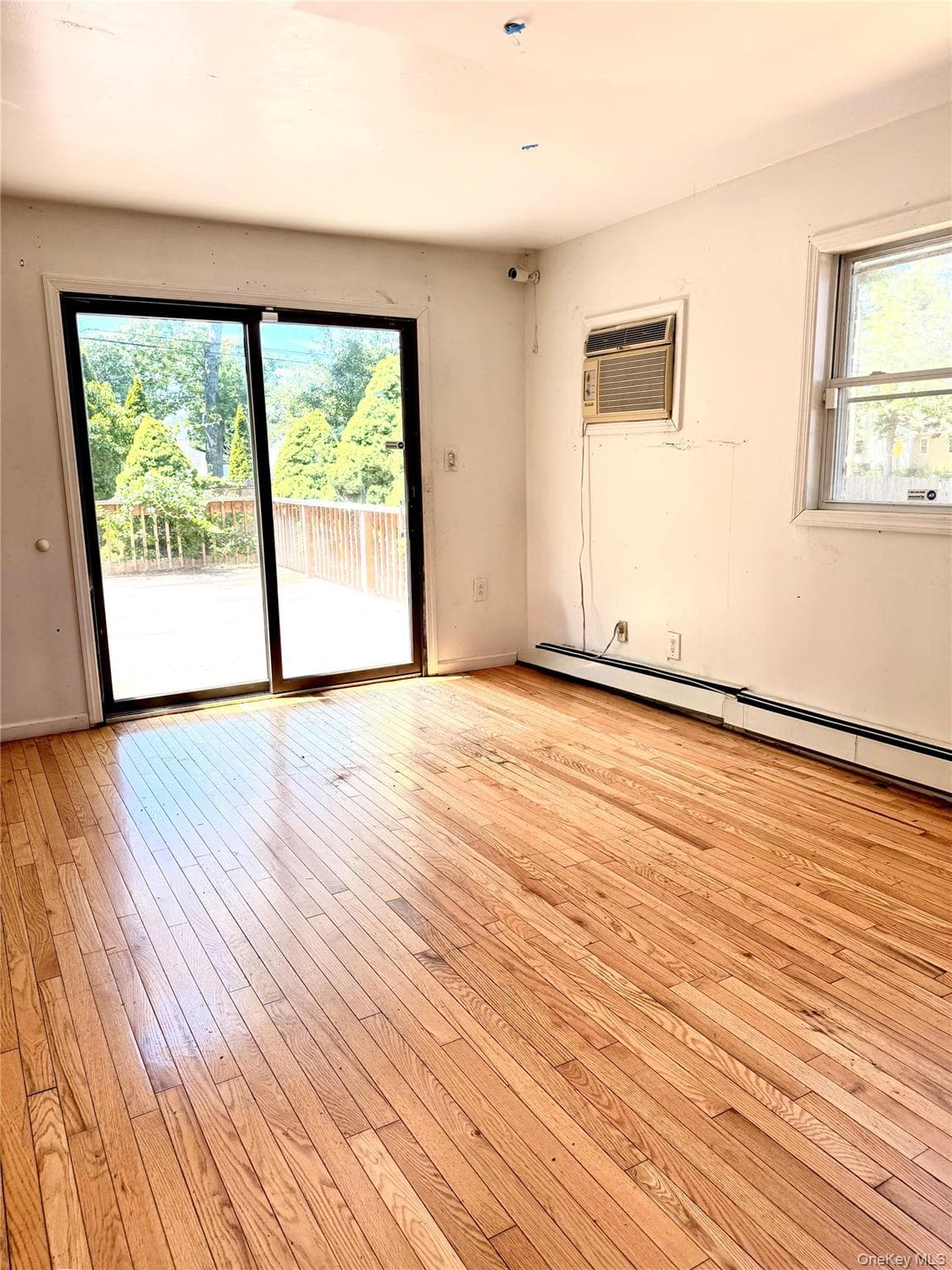 13 Hampton Avenue thumbnail 9