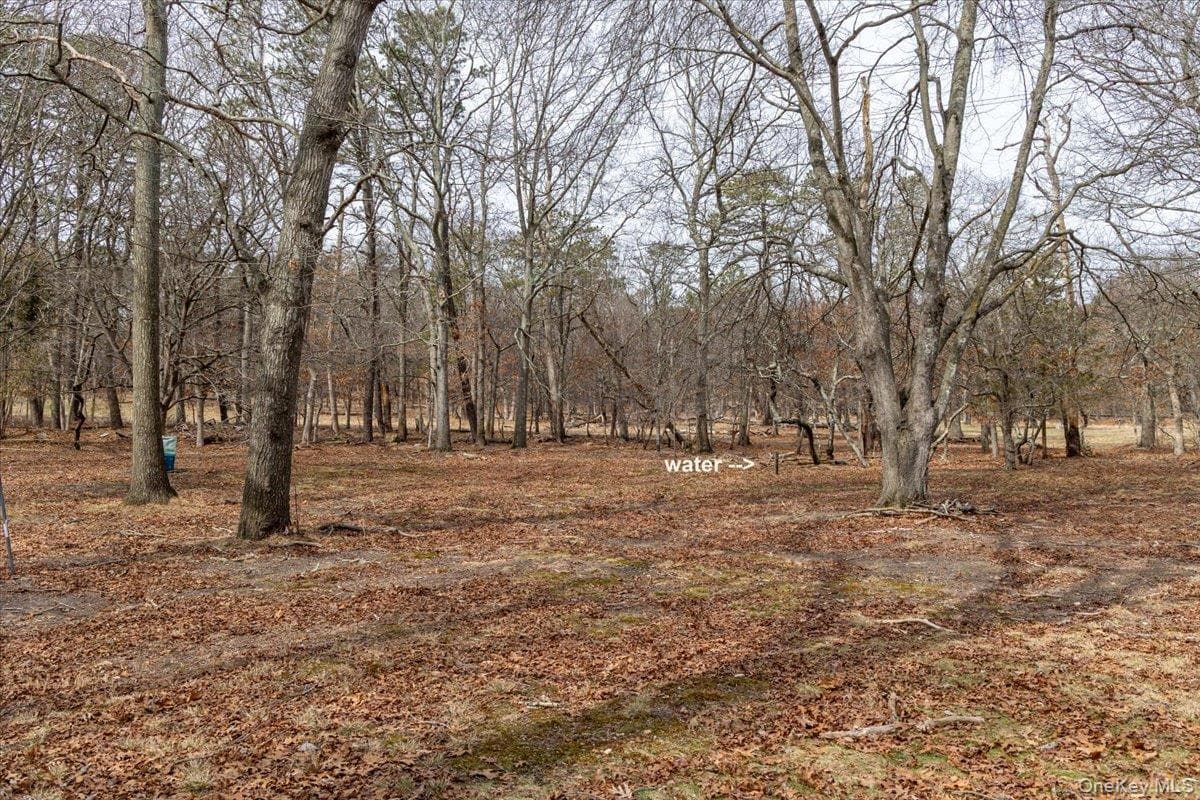 309 Primrose Path thumbnail 11