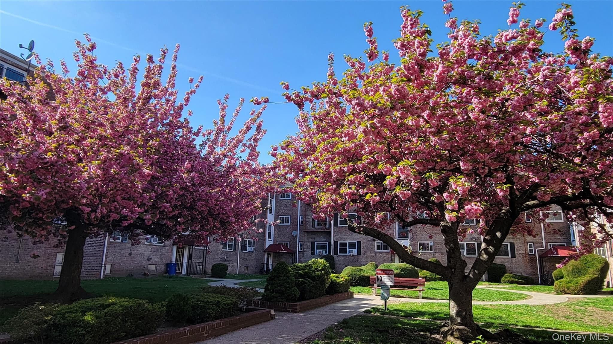 66-10 111 Street Unit: 3B thumbnail 11