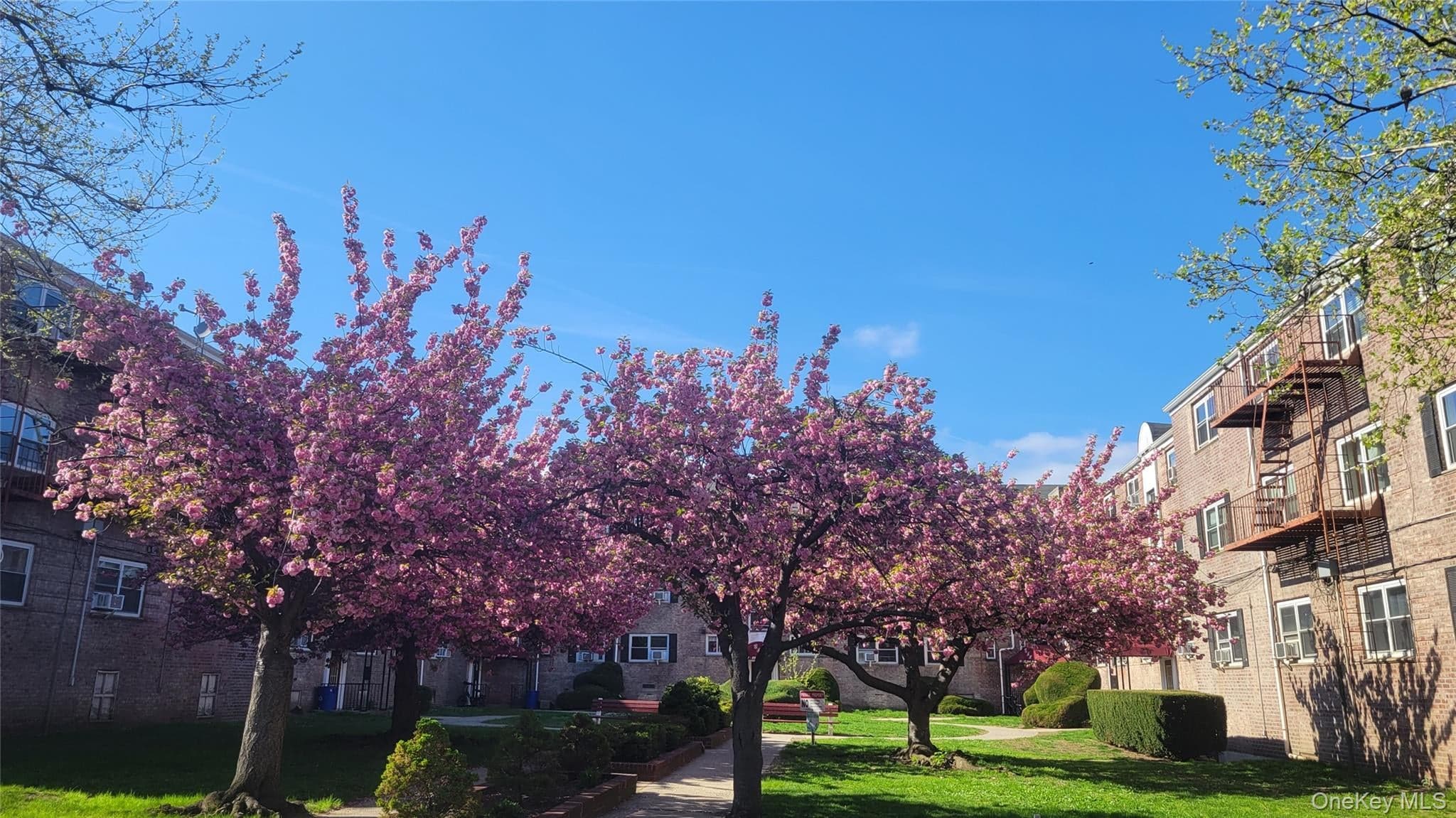 66-10 111 Street Unit: 3B thumbnail 12