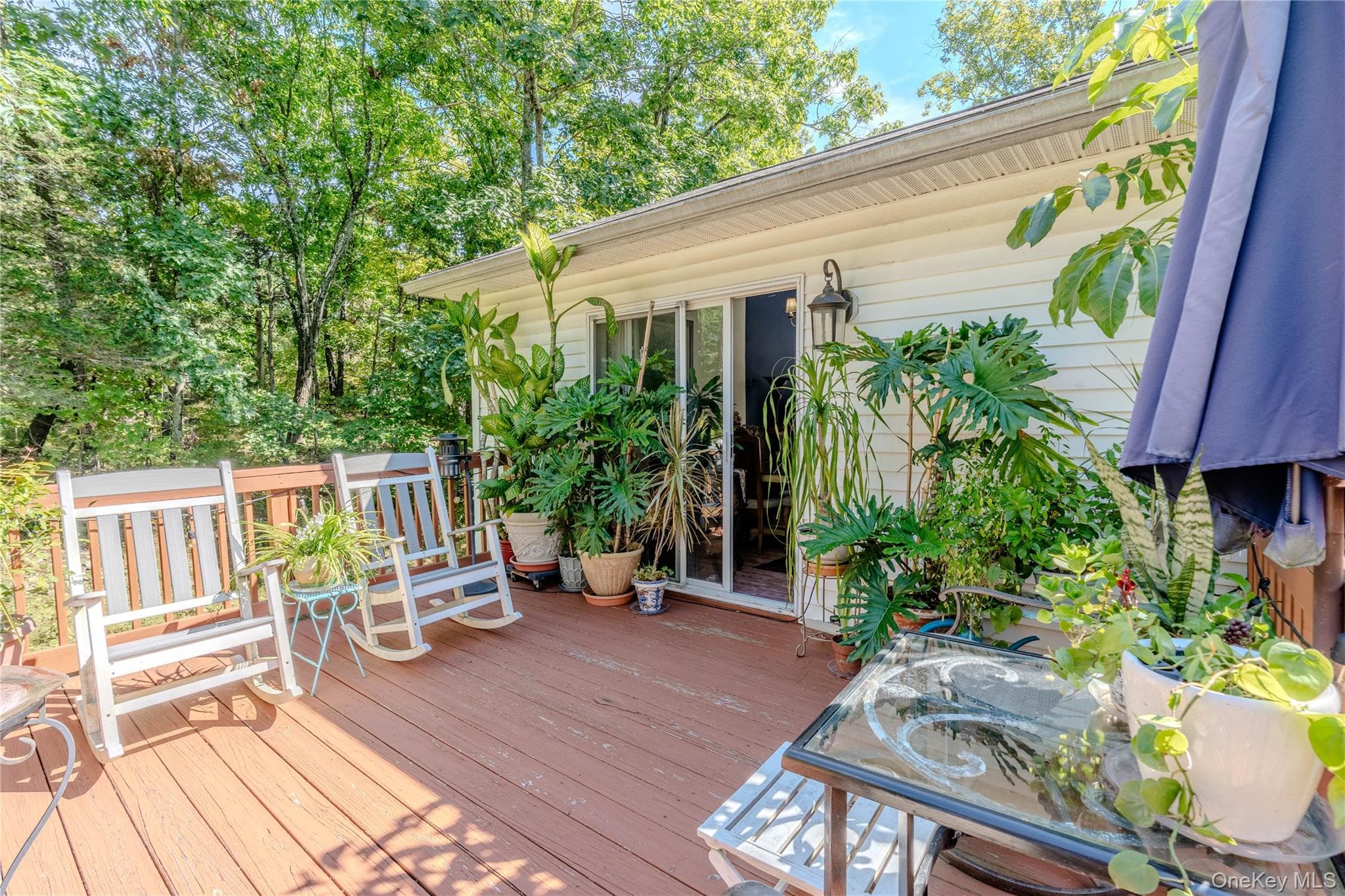 167 Pine Hill Road thumbnail 22