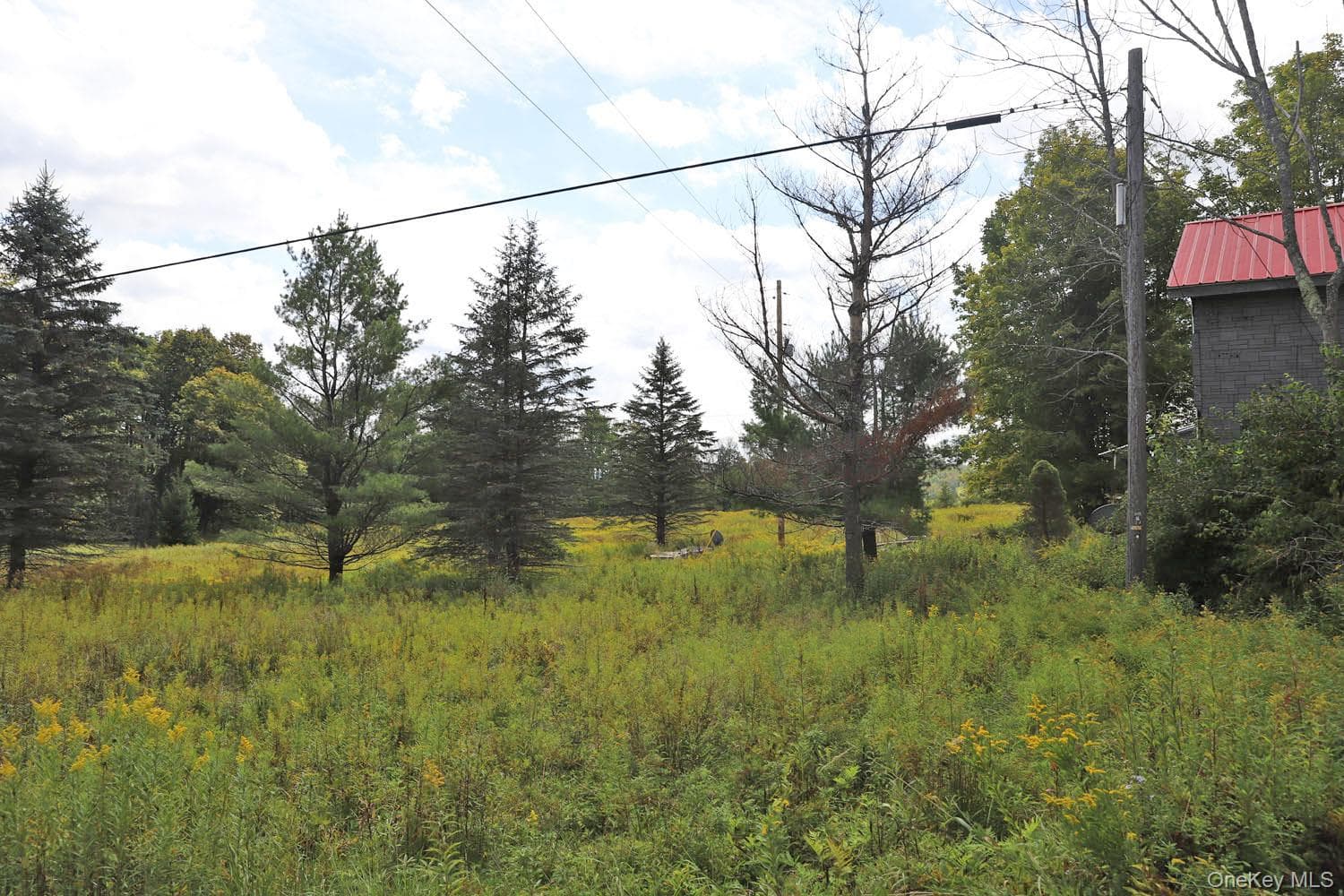 3994 Klondike Road thumbnail 27