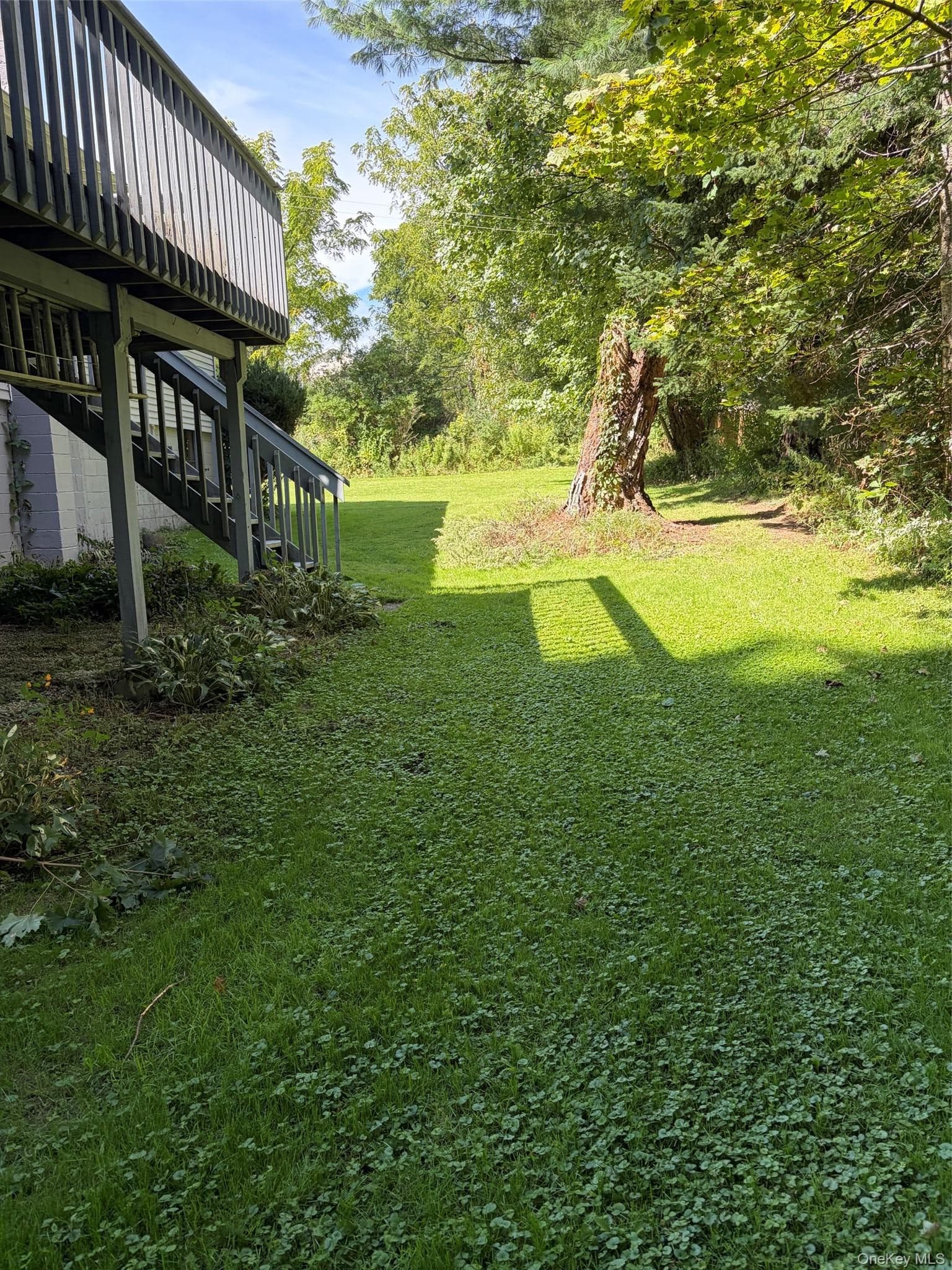 20 Hutchinson Road thumbnail 6