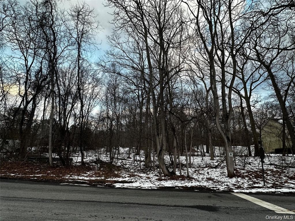 W Bartlett Road photo 1