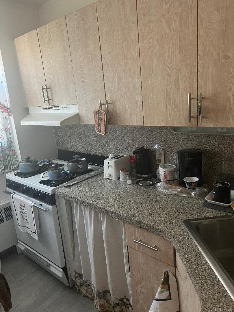 155-24 84th Street Unit: 1L thumbnail 6