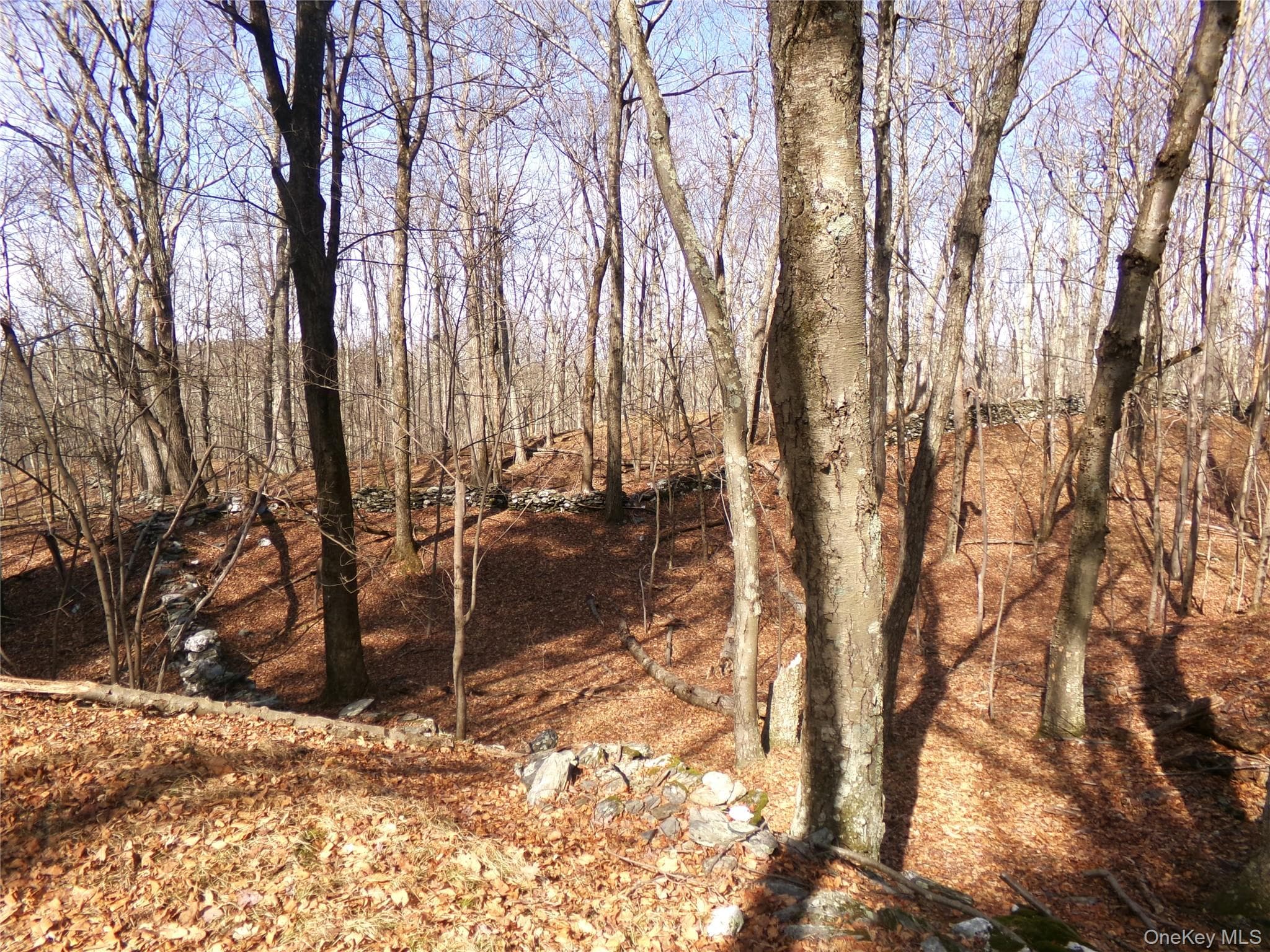 303 Hicks Hill Road thumbnail 36