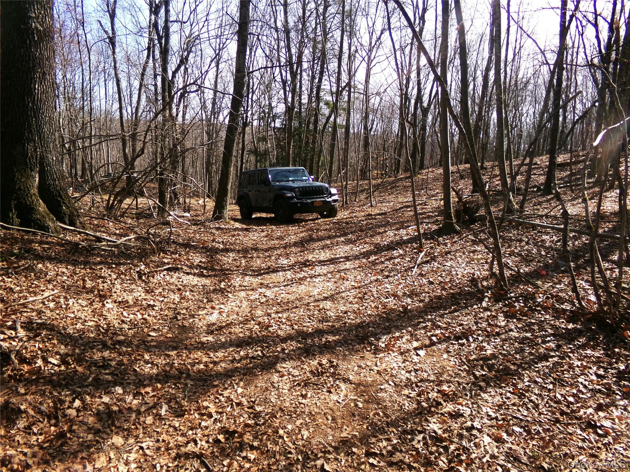 303 Hicks Hill Road thumbnail 35