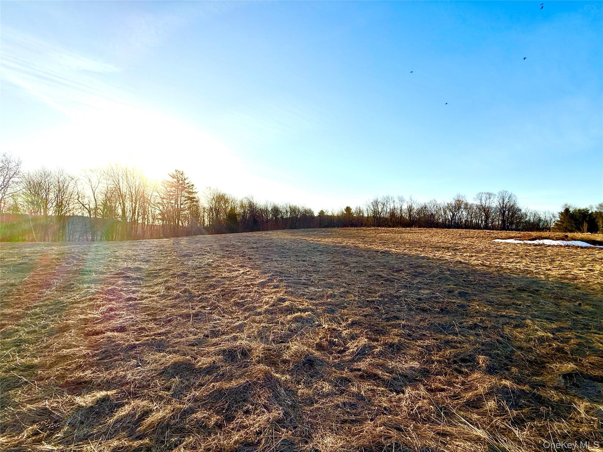 TBD Snake Hill Road photo 1