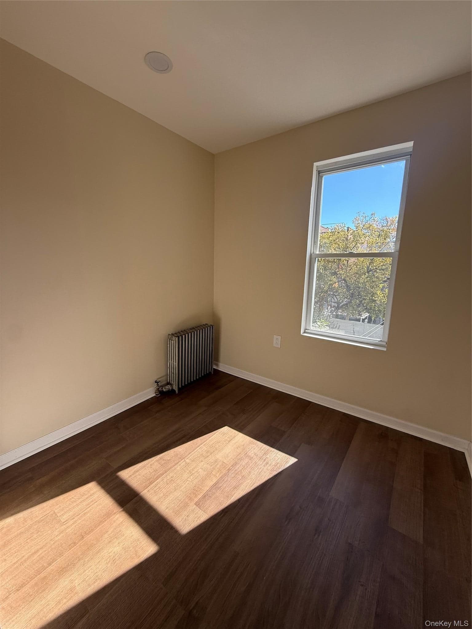 868 Morris Park Avenue thumbnail 12