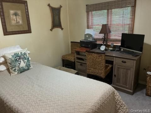 1661 Old Country Road Unit: 383 thumbnail 36