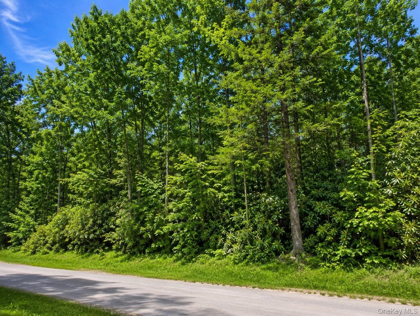Benton Hollow Road thumbnail 2