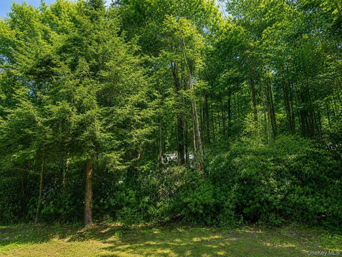 Benton Hollow Road thumbnail 3