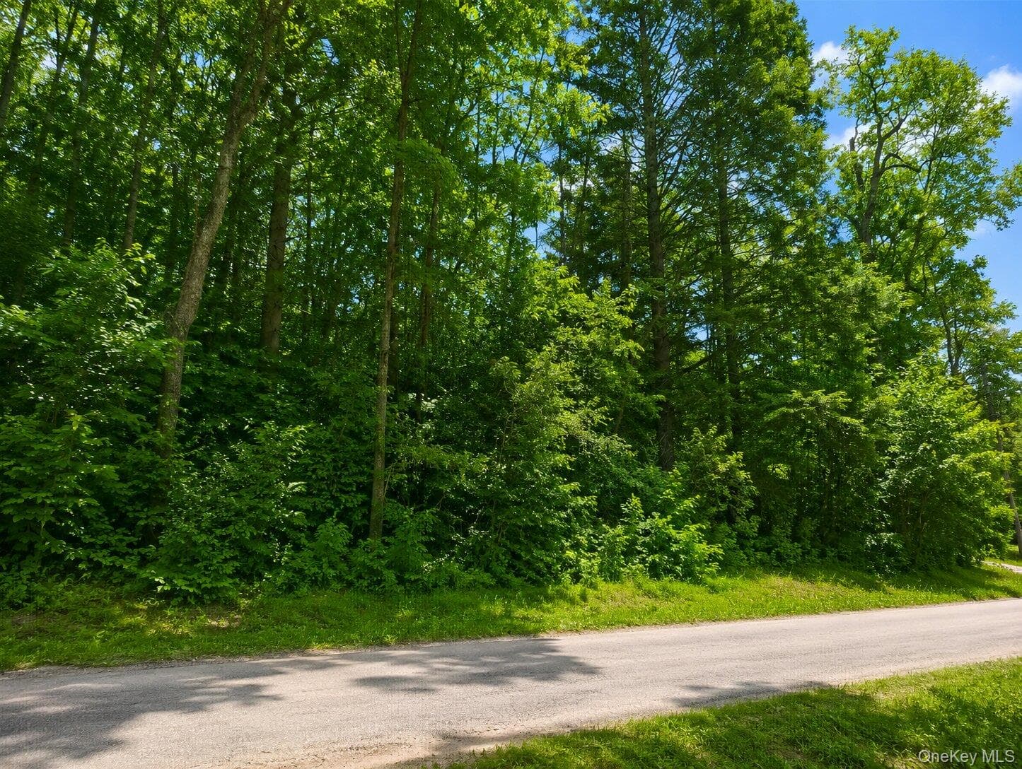Benton Hollow Road photo 1
