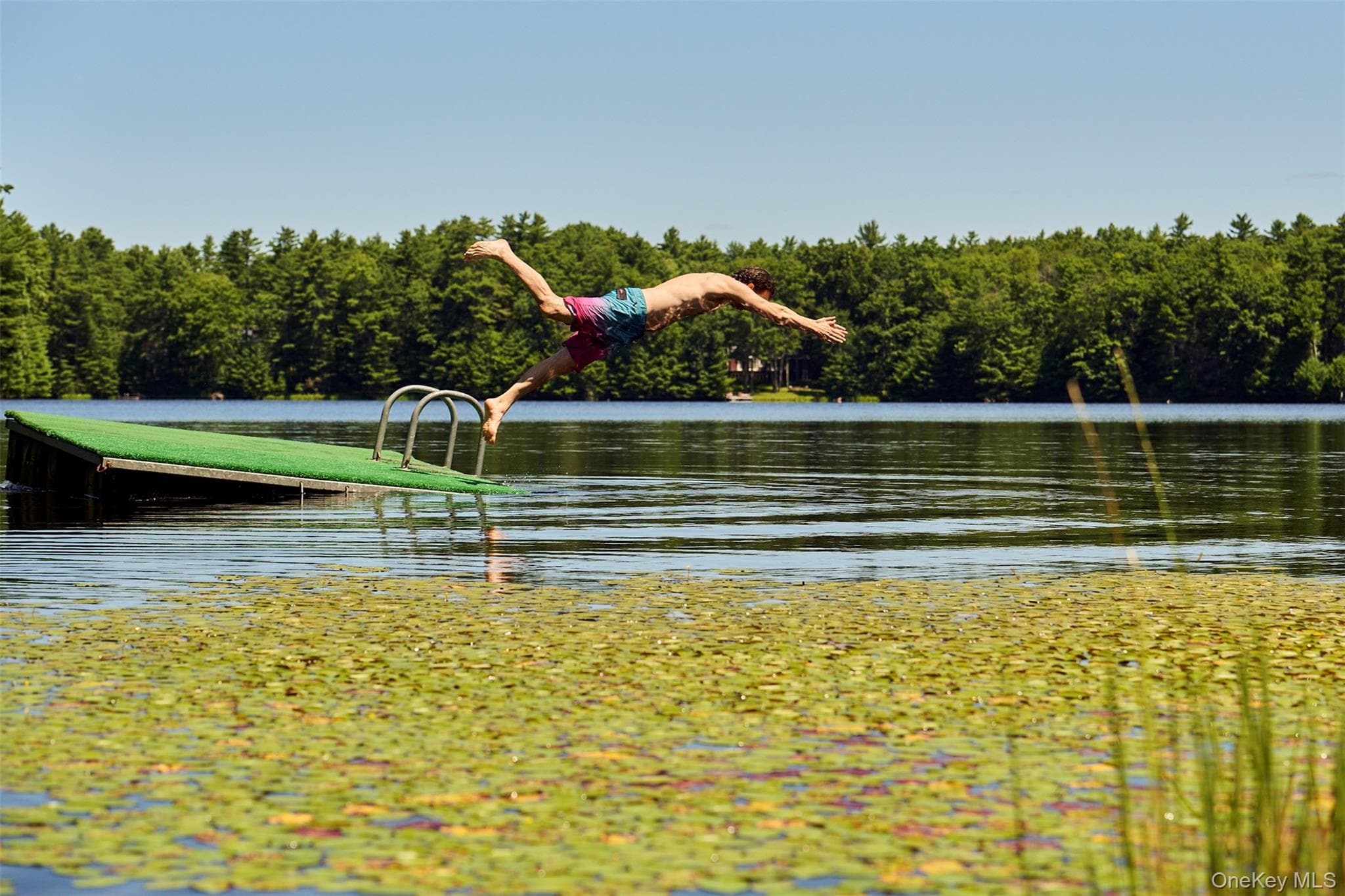 167 Timber Lake Drive thumbnail 14