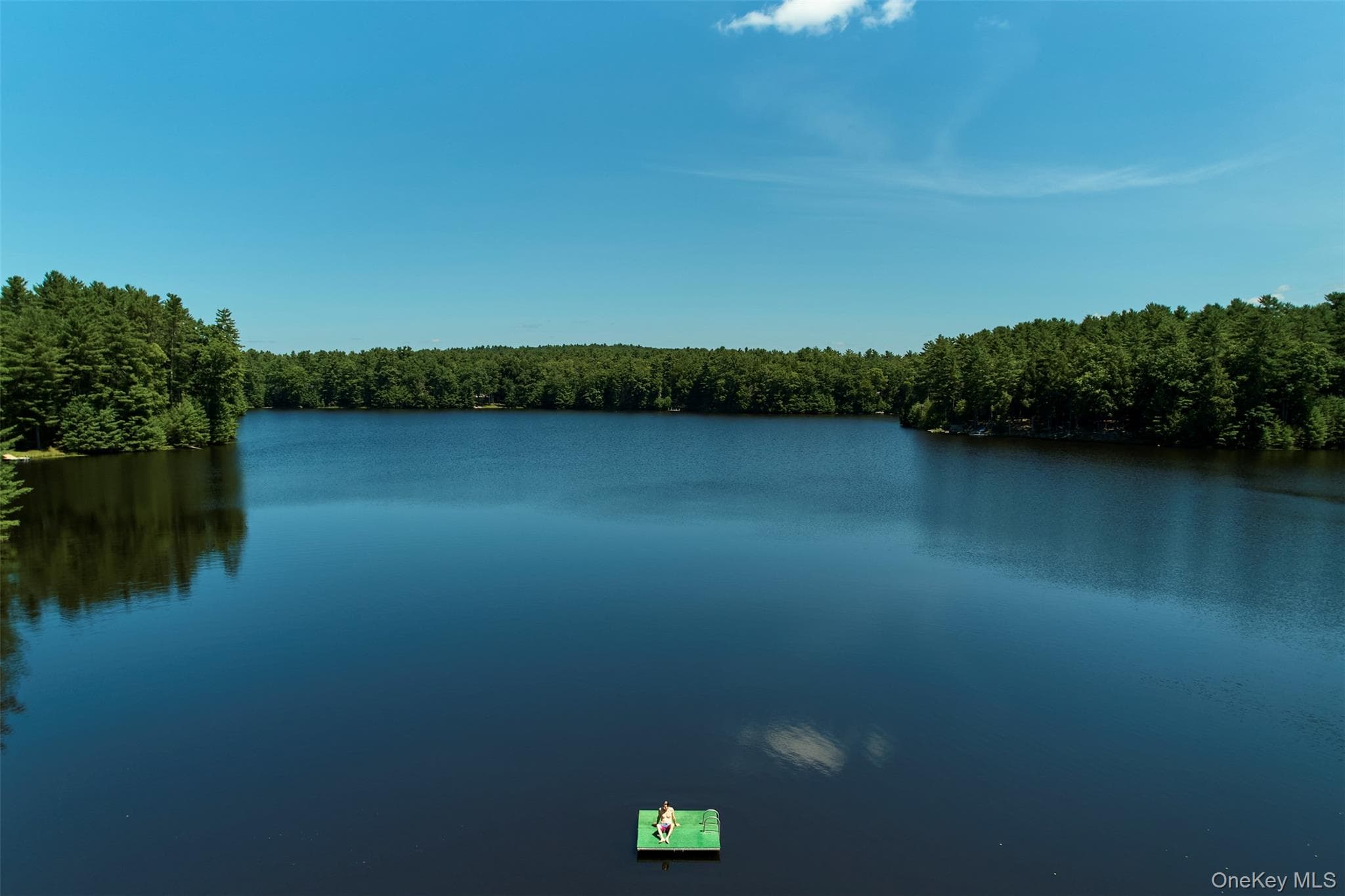 167 Timber Lake Drive thumbnail 4