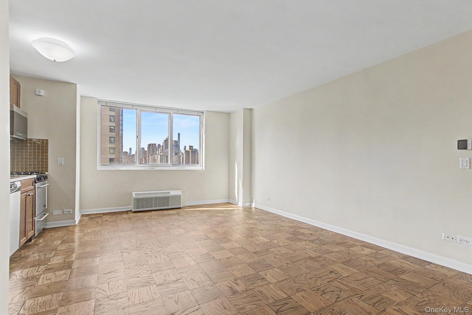 345 E 93rd Street Unit: 20E thumbnail 6
