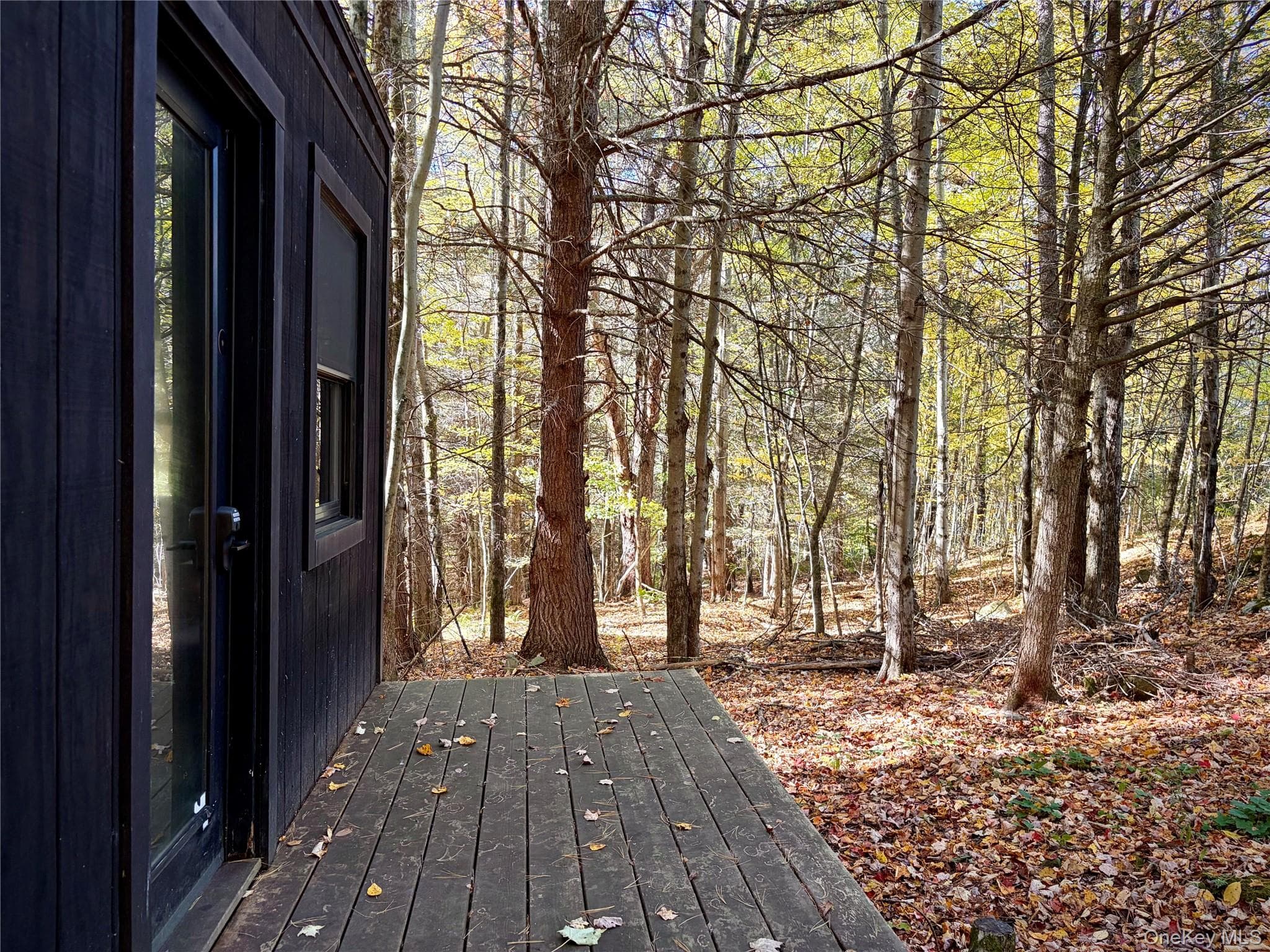 58 Emerald Lake Road thumbnail 13