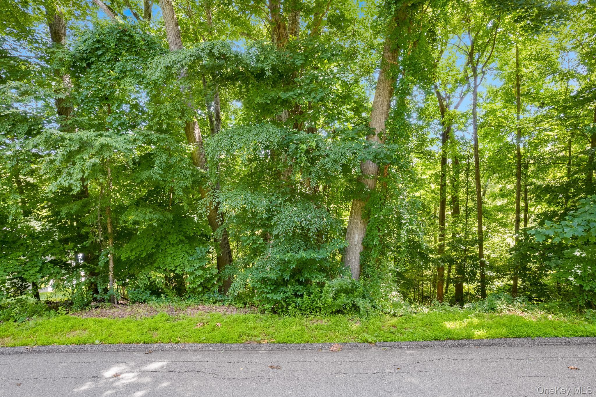 Lot 10 Shamrock Drive thumbnail 2