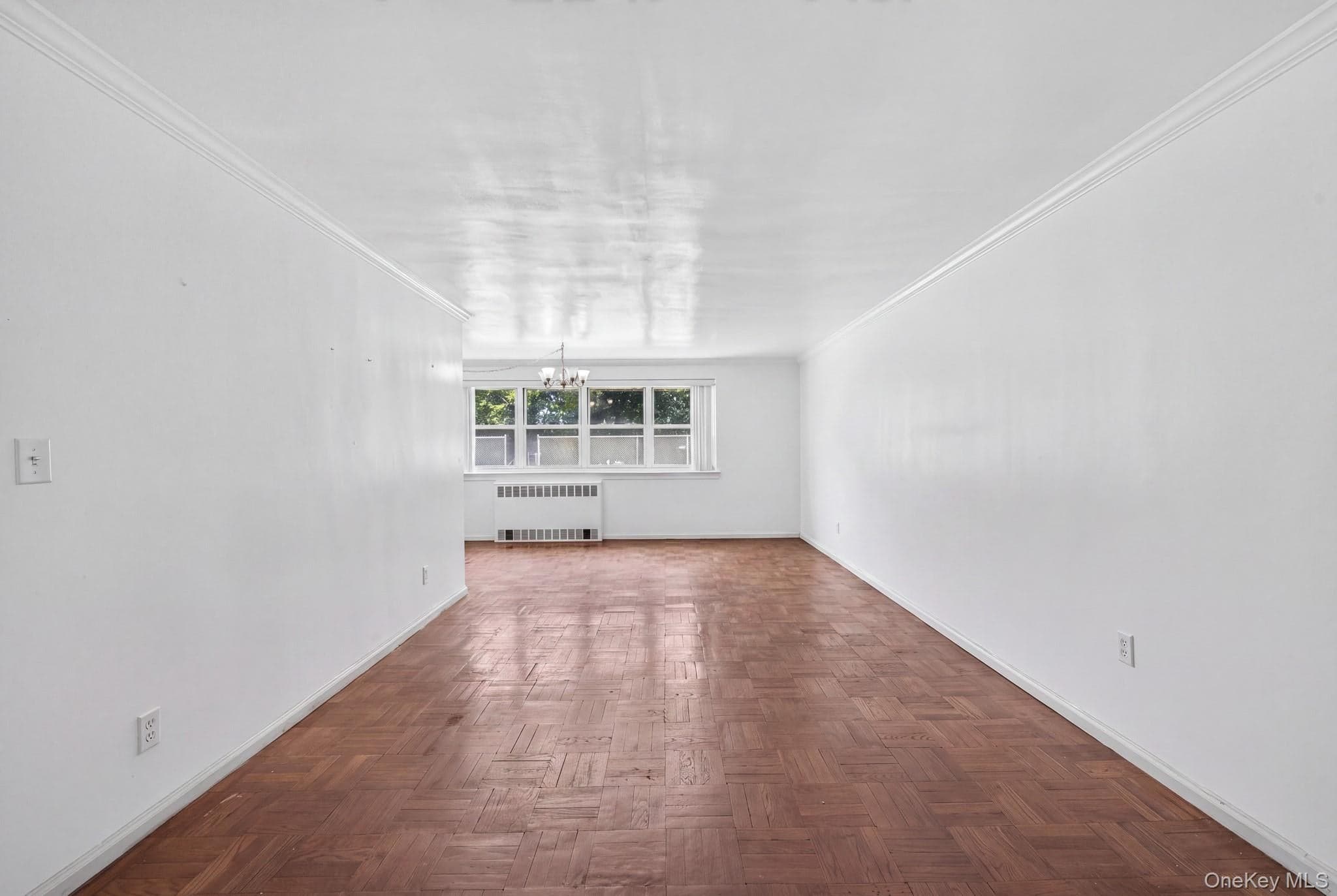 153-25 88th St St Unit: 1k thumbnail 15