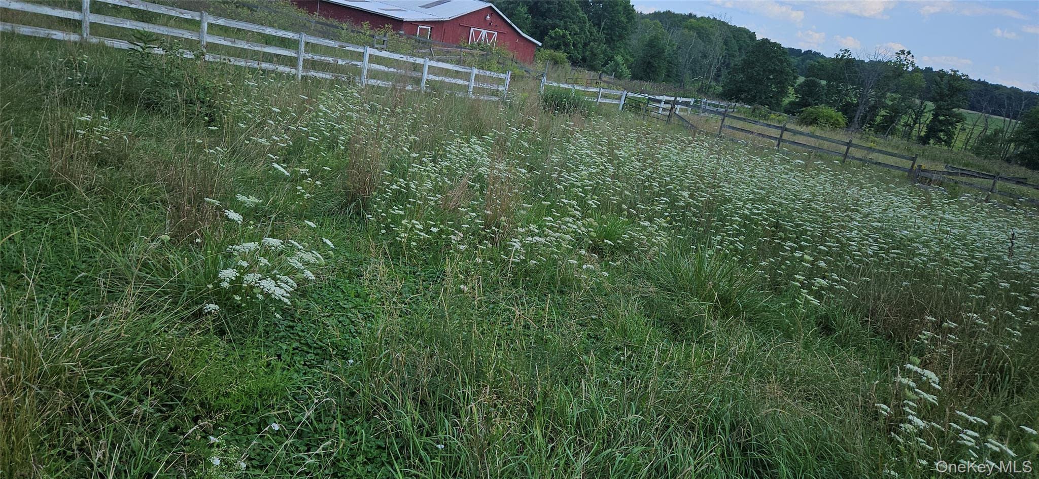 36 W Searsville Road thumbnail 11