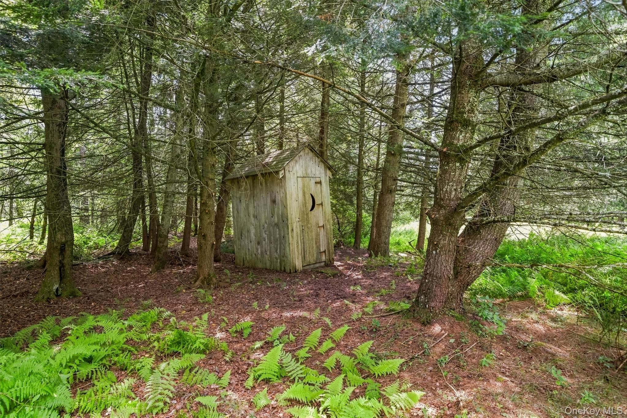 62 Laird Road thumbnail 41