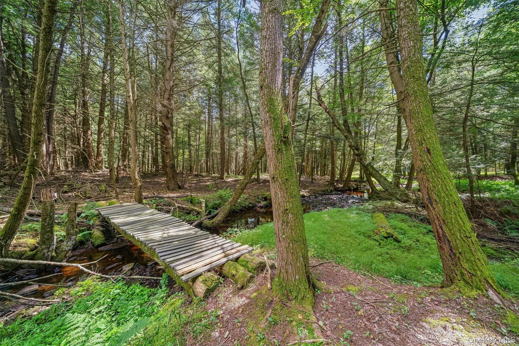 62 Laird Road thumbnail 43