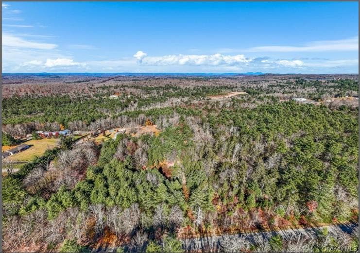 98 Mongaup Road, Monticello