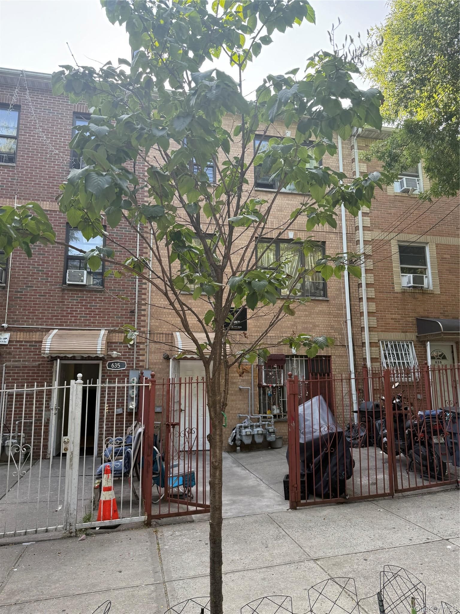 637 Barretto Street thumbnail 2