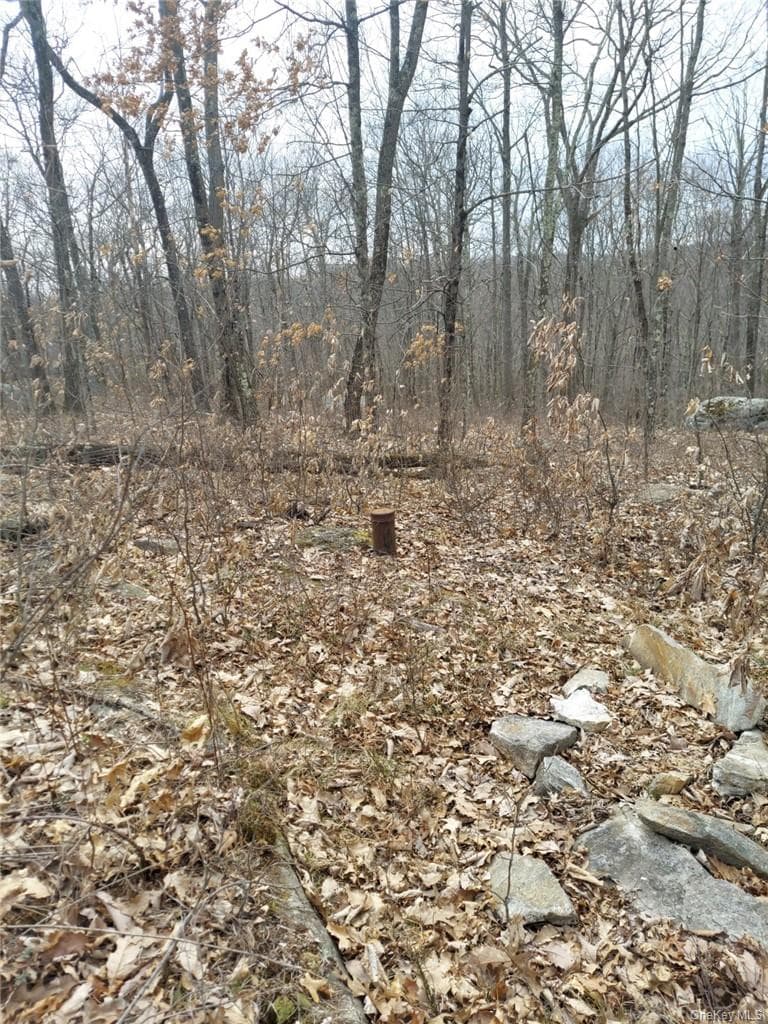 489 Grape Hollow Road thumbnail 17
