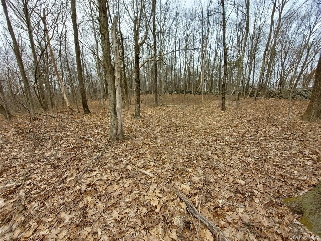 489 Grape Hollow Road thumbnail 21