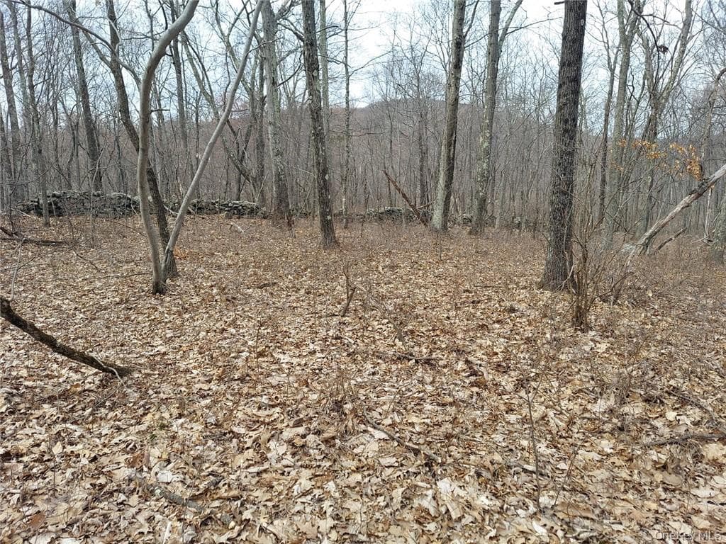 489 Grape Hollow Road thumbnail 12
