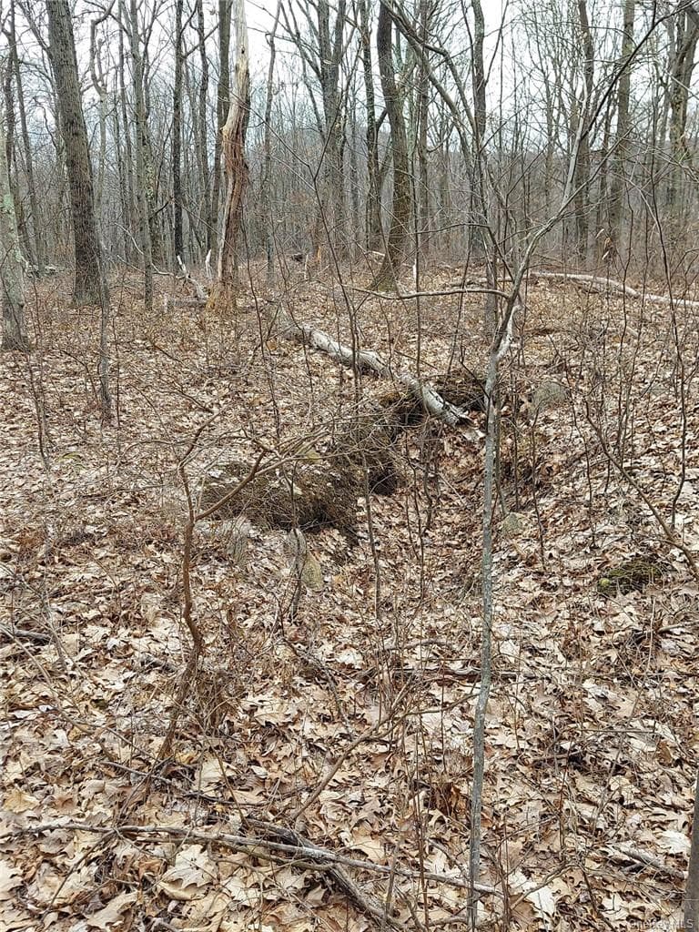 489 Grape Hollow Road thumbnail 20