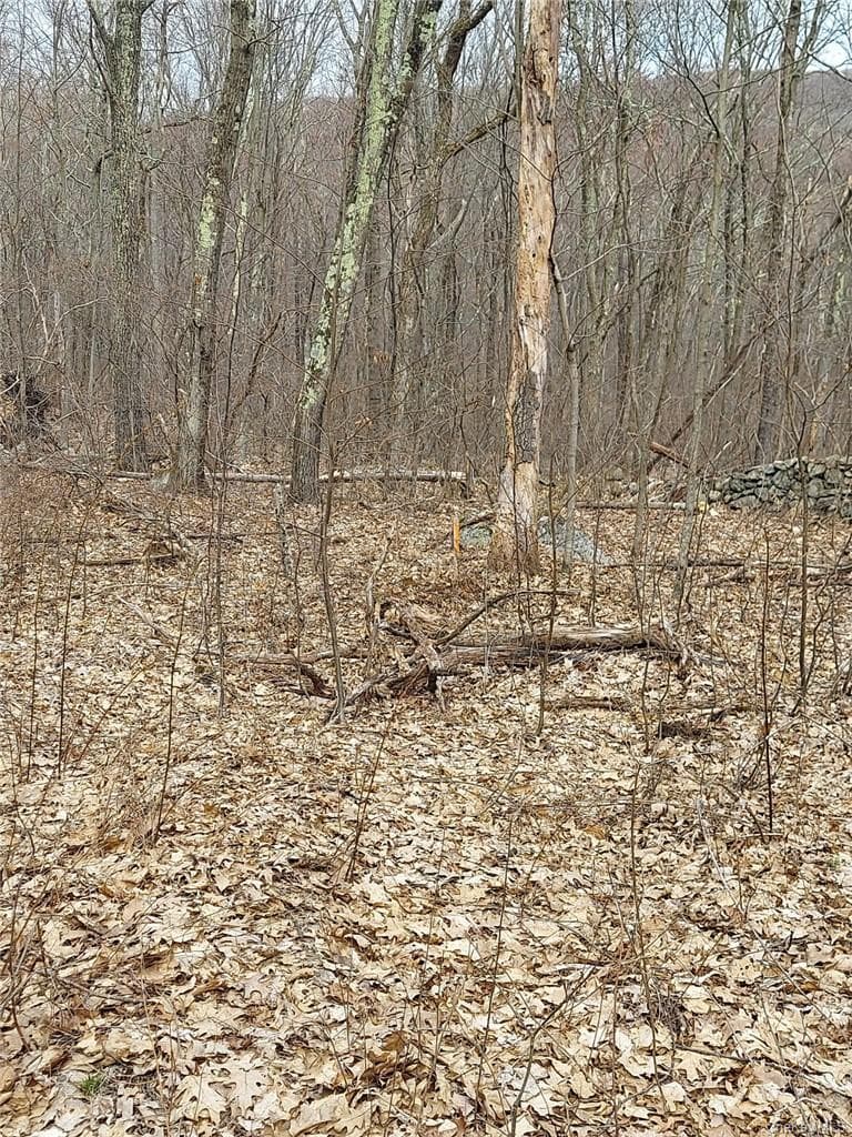 489 Grape Hollow Road thumbnail 23