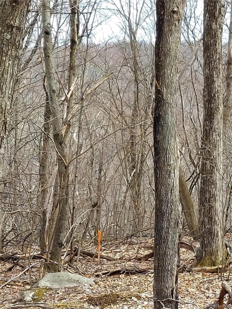 489 Grape Hollow Road thumbnail 7