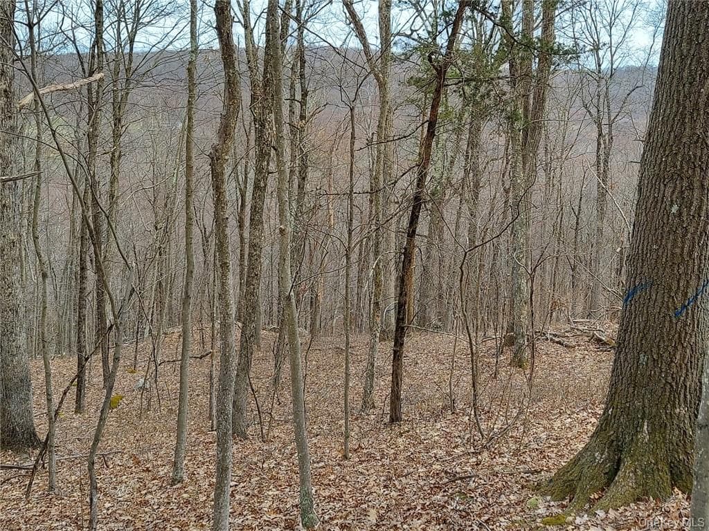 489 Grape Hollow Road thumbnail 11