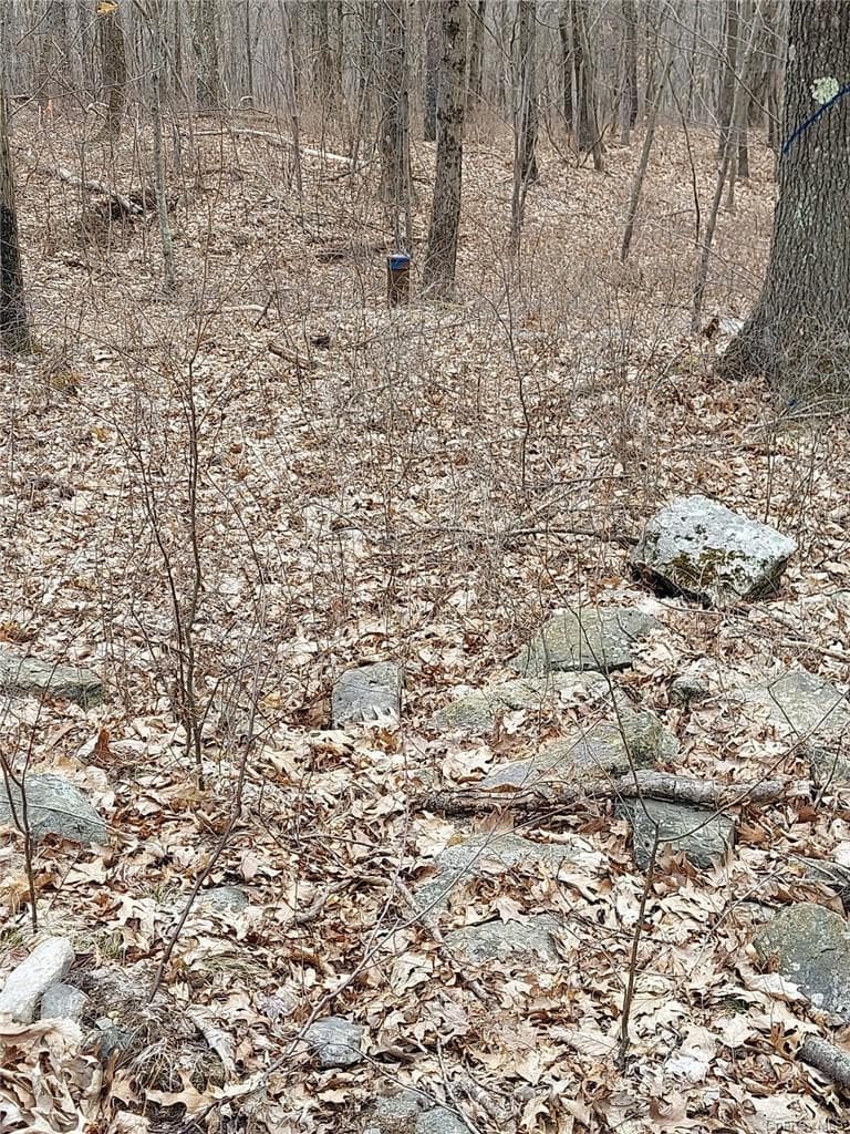 489 Grape Hollow Road thumbnail 19