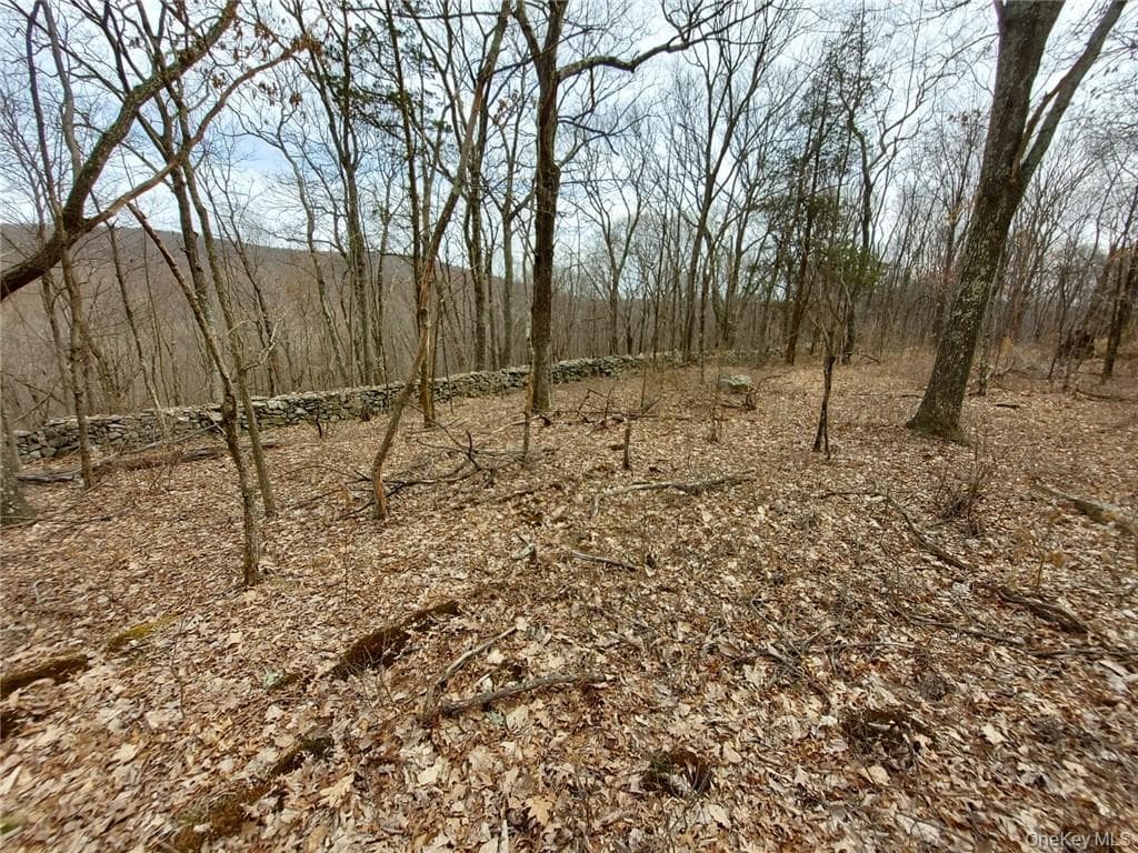 489 Grape Hollow Road thumbnail 18
