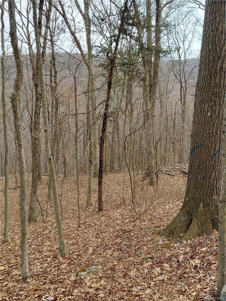 489 Grape Hollow Road thumbnail 10