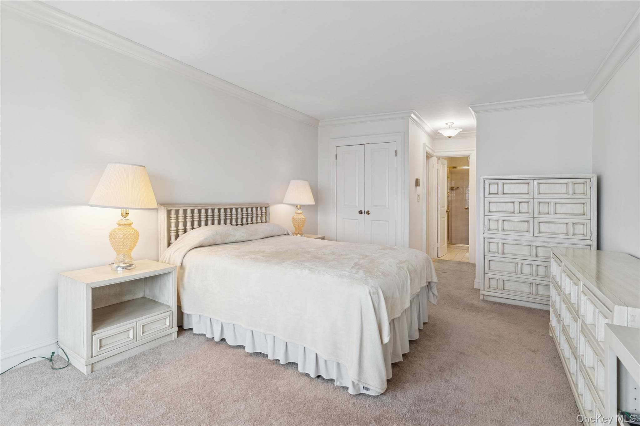 17-85 215th Street Unit: 15M thumbnail 19