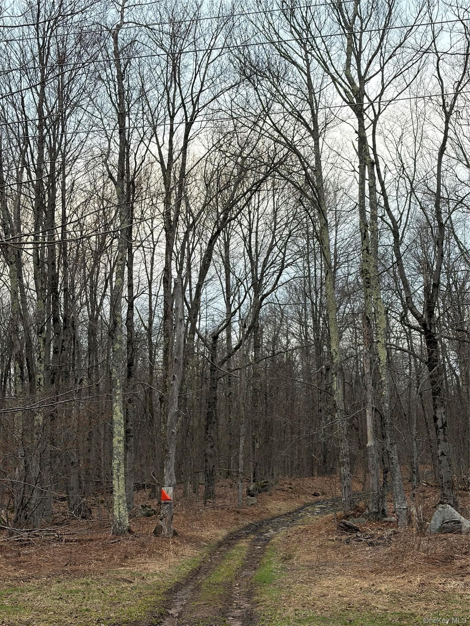 Fox Mountain thumbnail 3