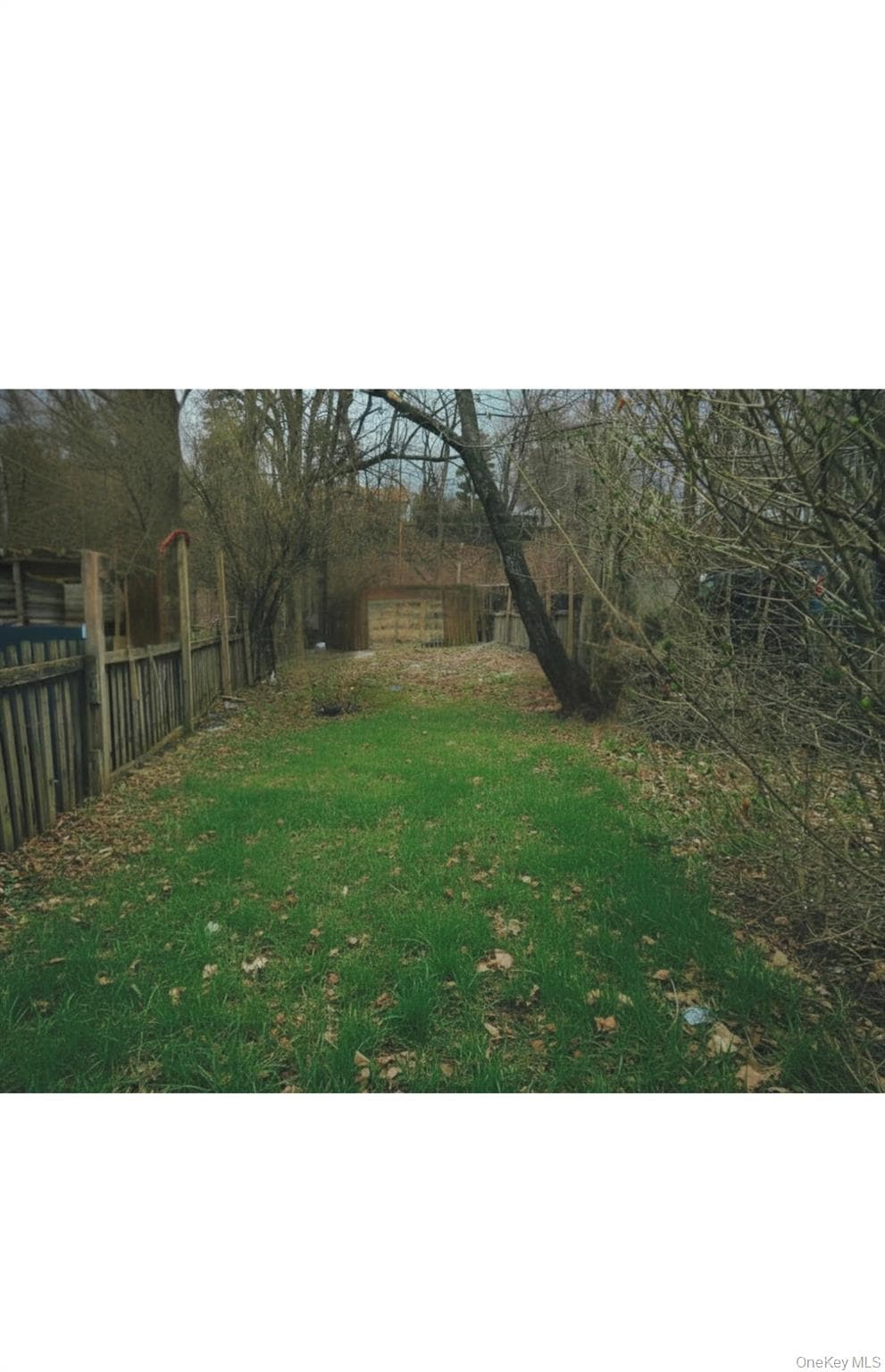 203 Dubois Street thumbnail 2