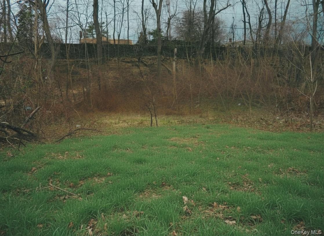 203 Dubois Street thumbnail 4