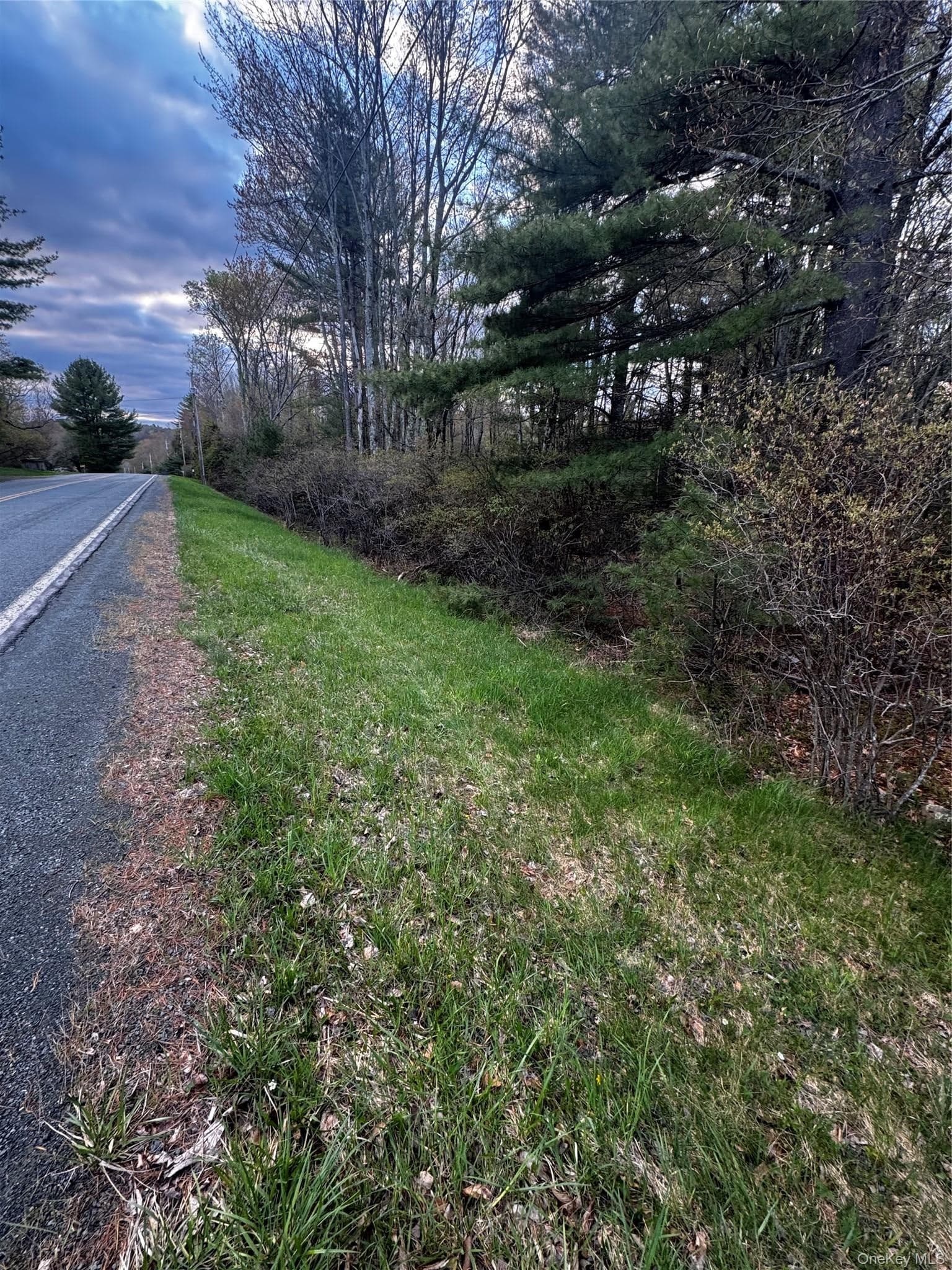 TBD 000 Ulster Heights Road thumbnail 3