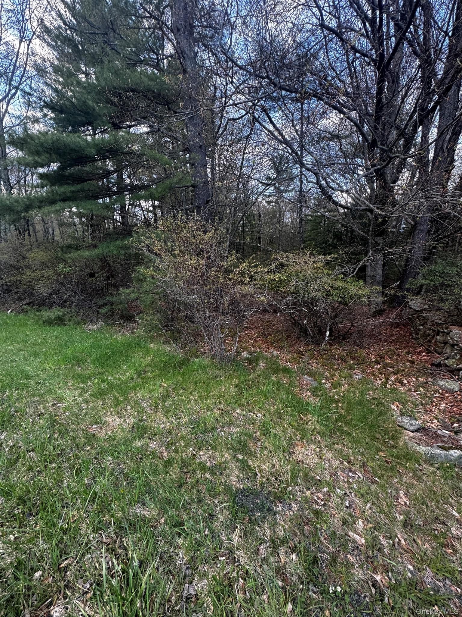 TBD 000 Ulster Heights Road thumbnail 4