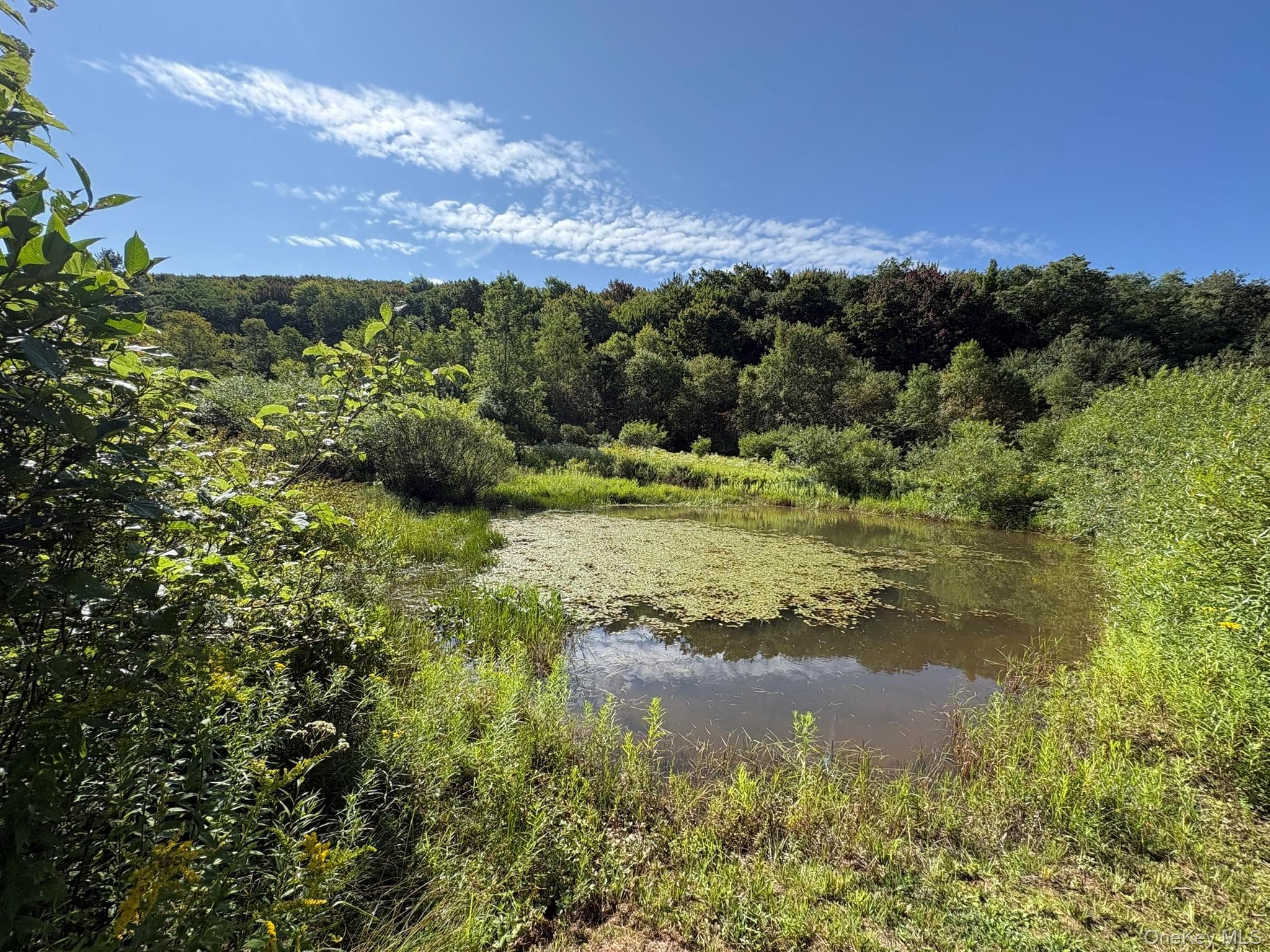 5176 Campbell Brook Road thumbnail 22