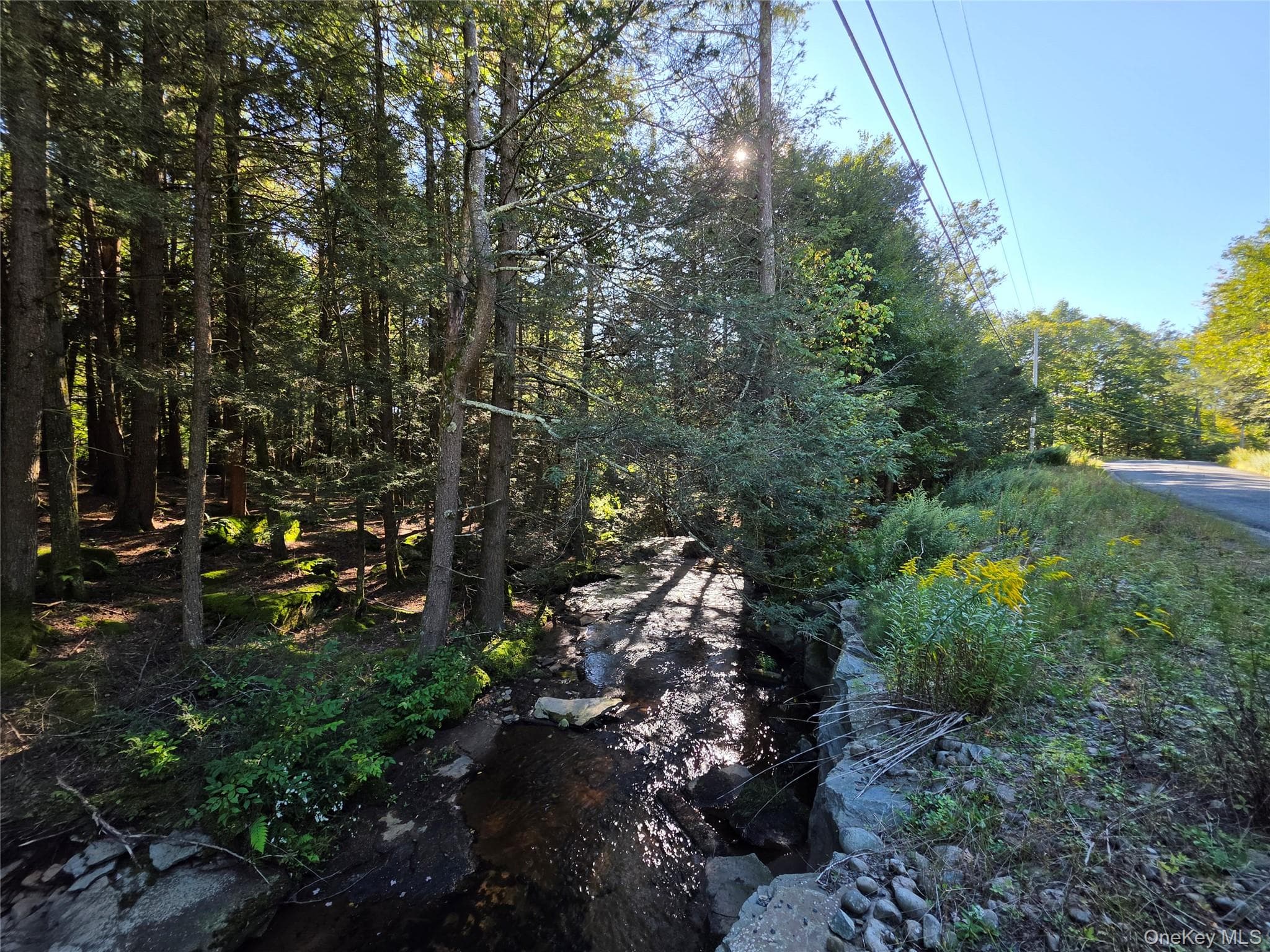 TBD Lily Pond Road thumbnail 7