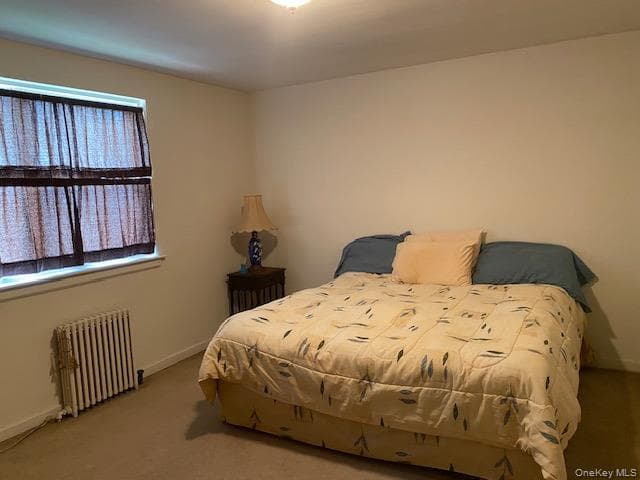 245-70 77th Crescent Unit: C1&2 thumbnail 13