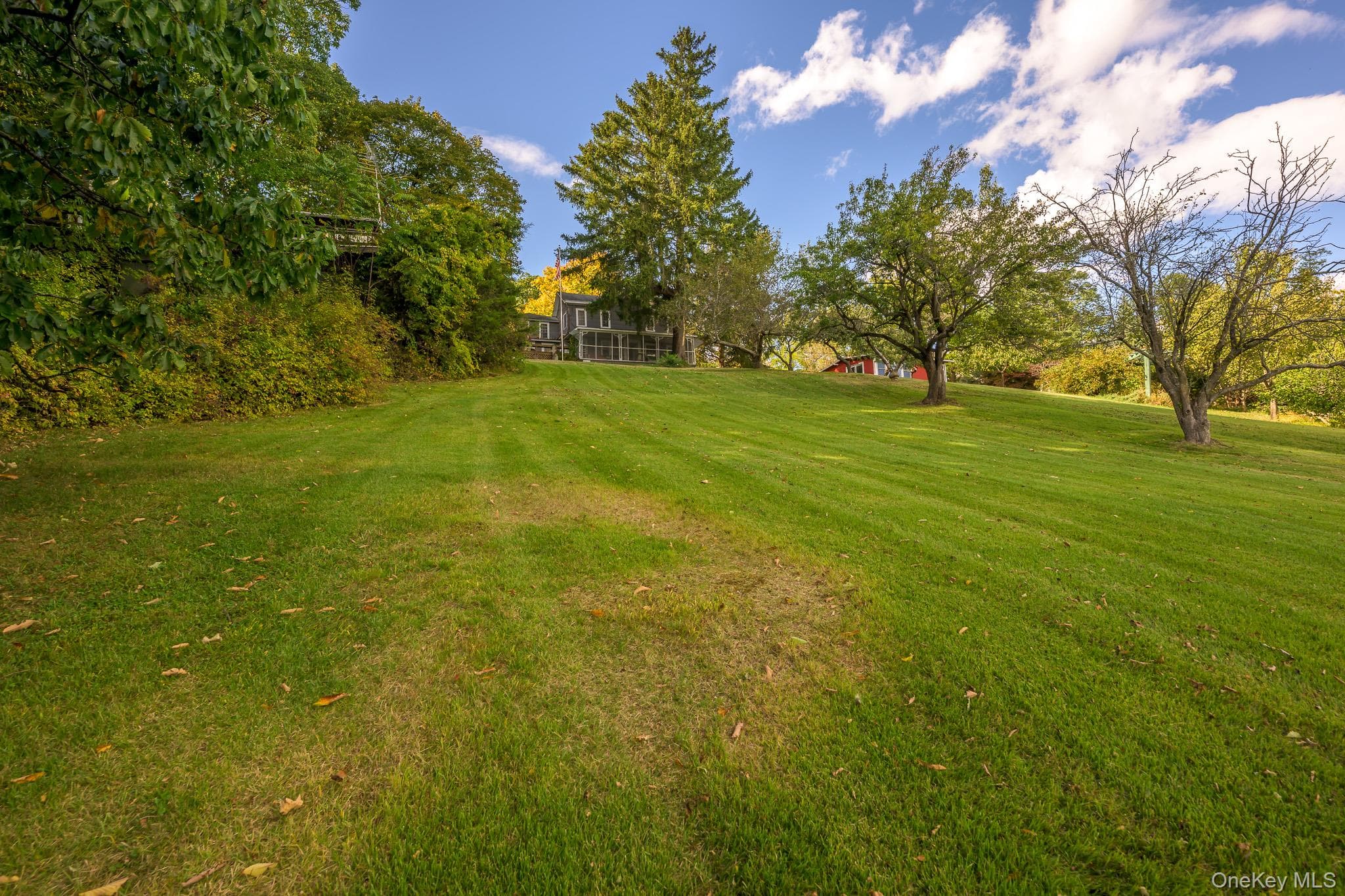 167 Patterson Road thumbnail 4