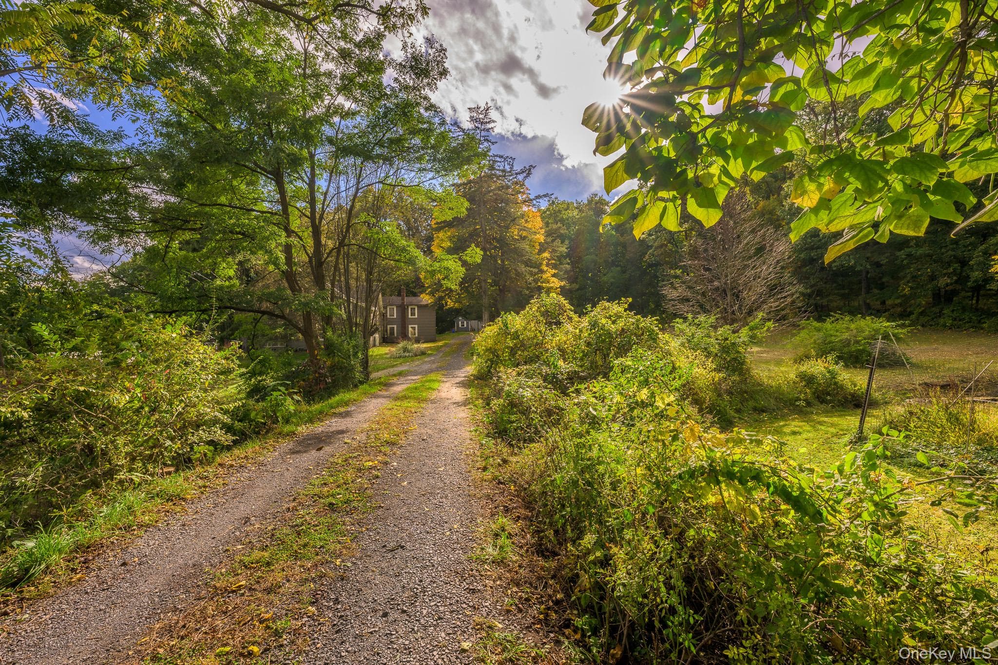 167 Patterson Road thumbnail 2