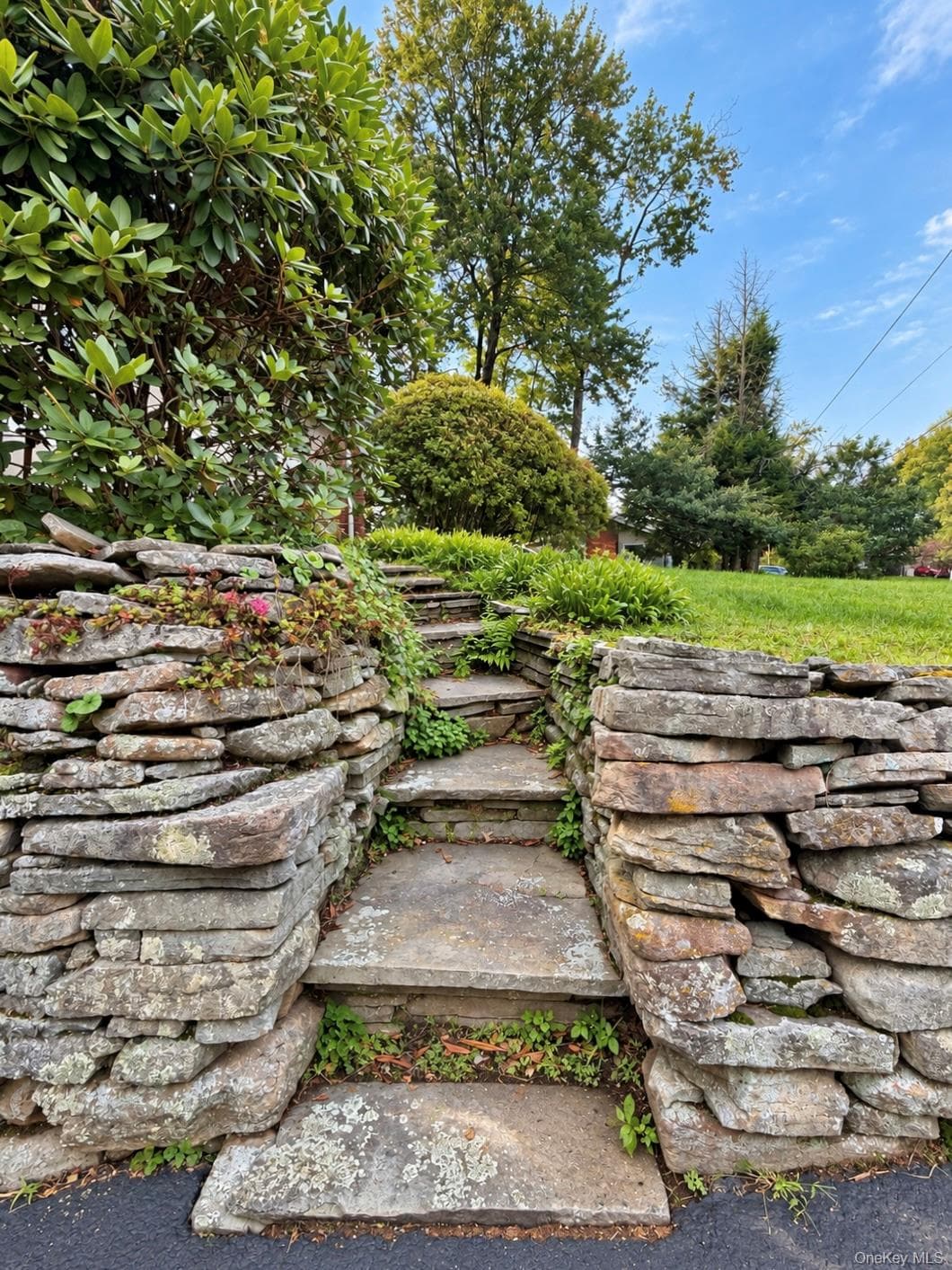 56 Columbia Drive thumbnail 14